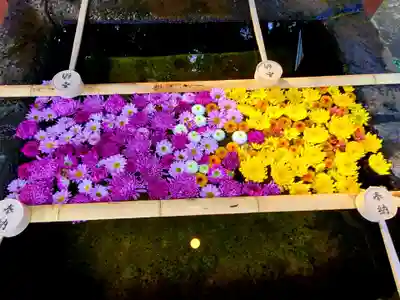 土津神社|こどもと出世の神さまの手水舎