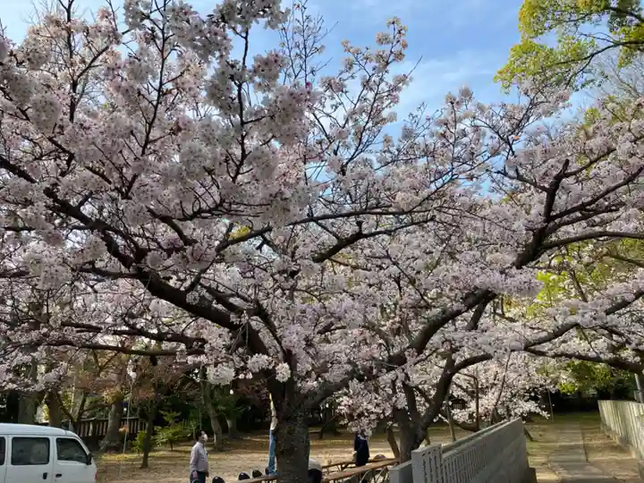 三津厳島神社の自然