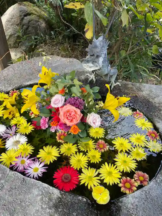 平等寺(三輪山平等寺)の手水舎