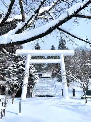 土津神社|こどもと出世の神さまの鳥居