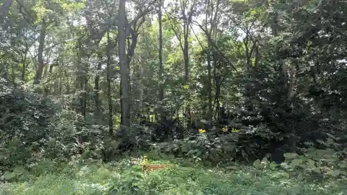 忠類神社の自然