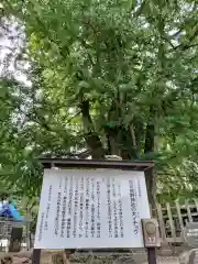 新宮熊野神社(福島県)