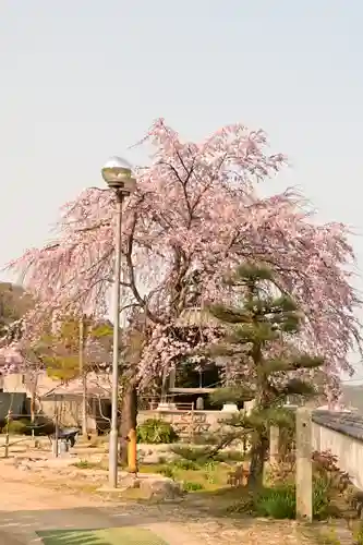 無量寺(愛媛県)