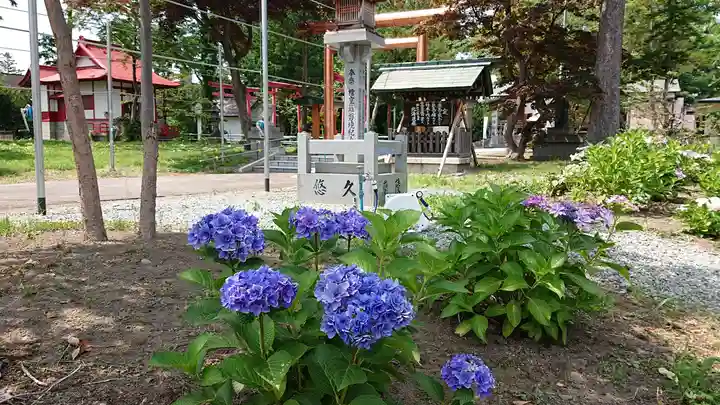 空知神社の自然