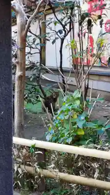 露天神社（お初天神）(大阪府)