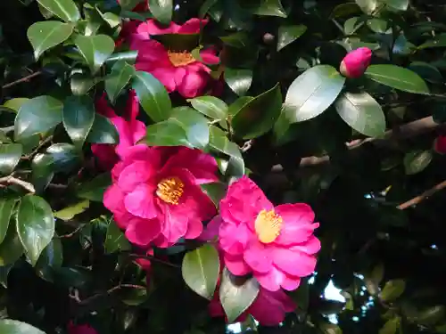天照大神(神奈川県)