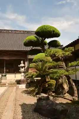 西福寺(徳島県)