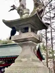 井の頭弁財天（大盛寺）の動物