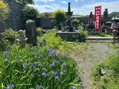 橋寺 放生院の{uncategorized: "未分類", other: "その他", undefined: "問題あり", building: "その他建物", grave: "お墓", sacred_gate: "鳥居", guardian: "狛犬", statue: "像", buddha: "仏像", history: "歴史", nature: "自然", garden: "庭園", animal: "動物", pagoda: "塔", temizu: "手水舎", mountain_gate: "山門・神門", sanctuary: "本殿・本堂", subordinate: "末社・摂社", art: "芸術", scenery: "景色", jizo: "地蔵", ema: "絵馬", goshuin: "御朱印", omikuji: "おみくじ", items: "授与品その他", amulet: "お守り", goshuincho: "御朱印帳", eats: "食事", festival: "お祭り", votive_dance: "神楽", shichigosan: "七五三参", wedding: "結婚式", experience: "体験その他", initially: "初詣", around: "周辺", anti_infection: "感染症対策"}