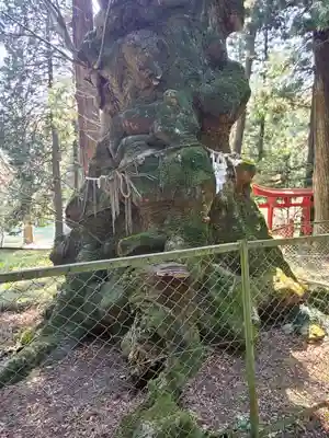 丸嶽山神社(栃木県)
