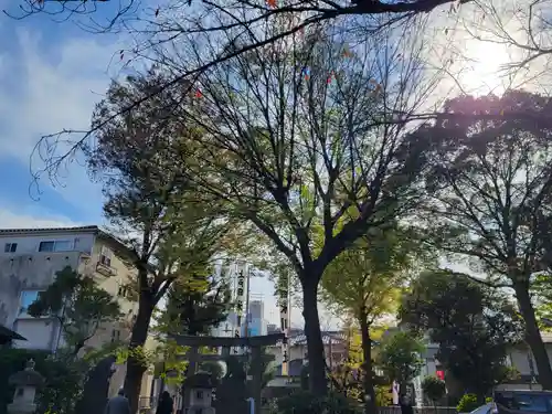 上戸田氷川神社の自然