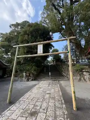 鹿児島神宮(鹿児島県)
