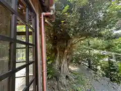 日枝神社(福井県)