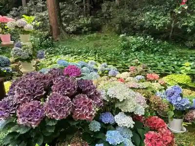 室生寺(奈良県)