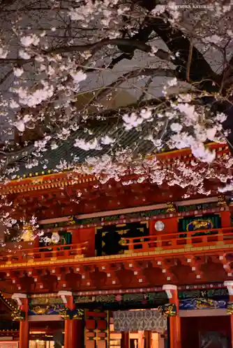 神田神社（神田明神）(東京都)