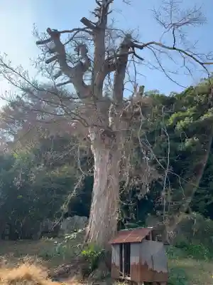 星光院(千葉県)