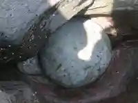 地ノ神嶋神社のその他建物