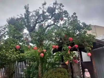 龍泉院(東京都)