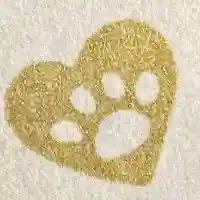 賀茂別雷神社(栃木県)