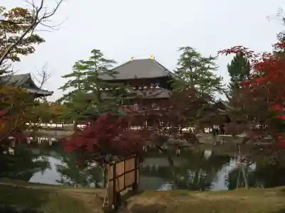 東大寺(奈良県)