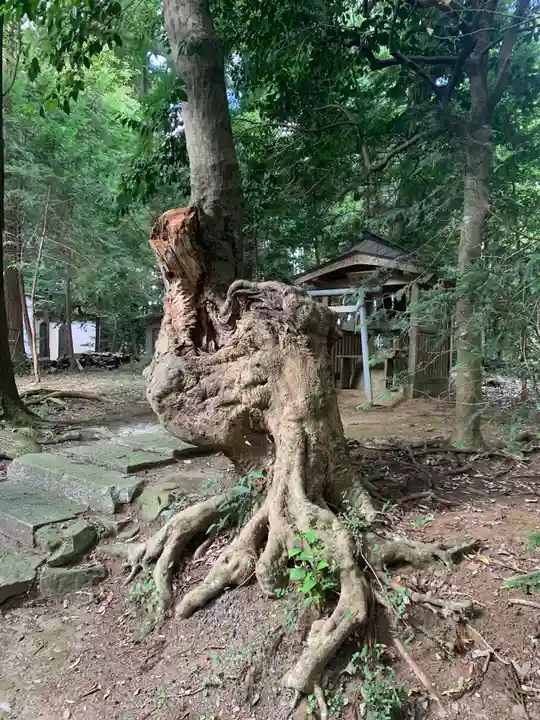 鴨鳥五所神社(茨城県)