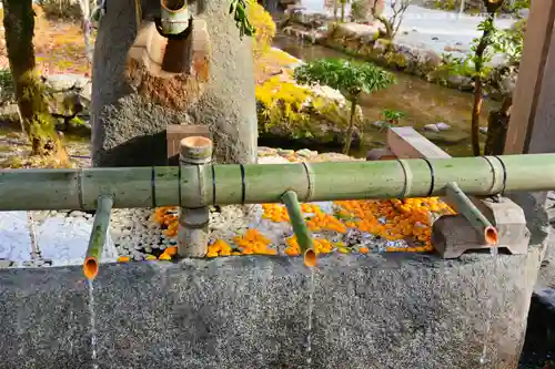 賀茂別雷神社（上賀茂神社）(京都府)