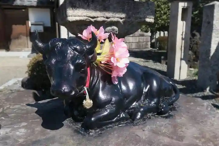 大松禅寺(京都府)