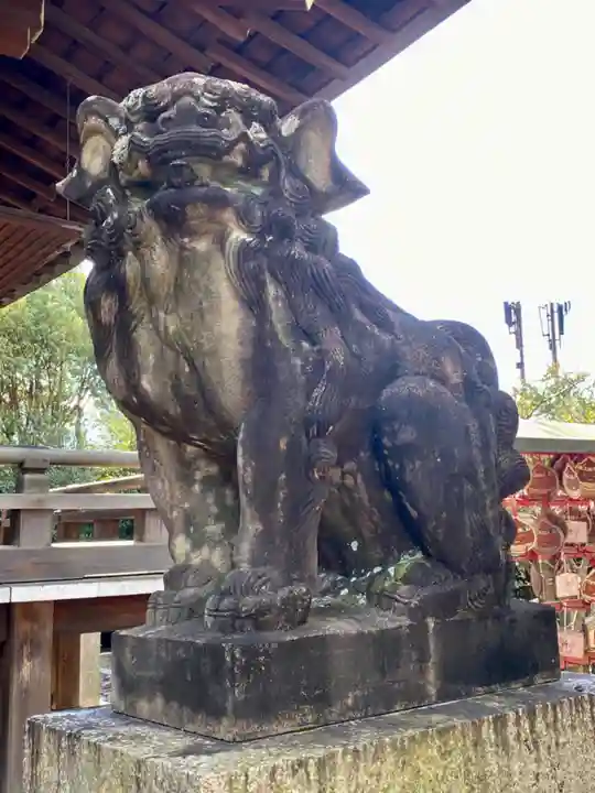 京都乃木神社の狛犬