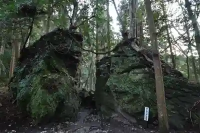 室生龍穴神社(奈良県)