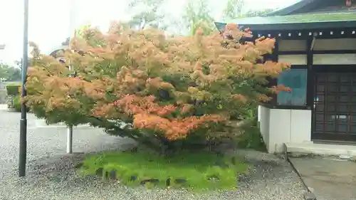 豊國神社のその他建物