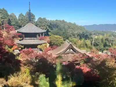 常樂寺(滋賀県)