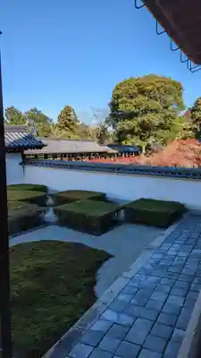 東福禅寺(東福寺)(京都府)