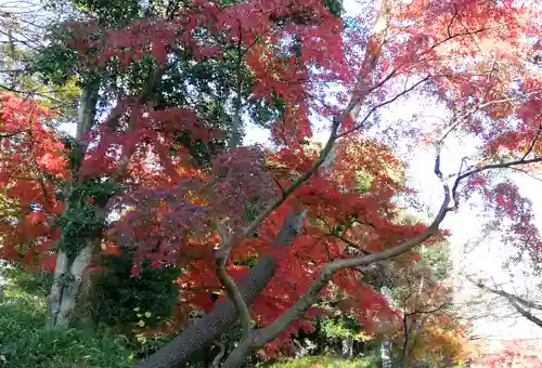 上野東照宮の自然