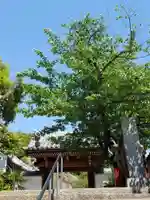 海龍寺(広島県)