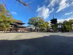 東寺（教王護国寺）(京都府)