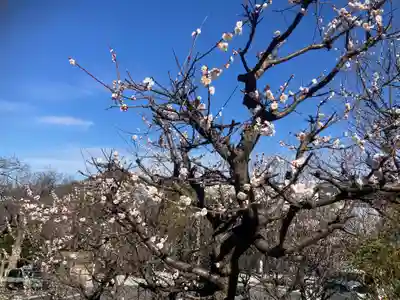 永谷天満宮(神奈川県)