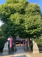 亀ケ池八幡宮(神奈川県)