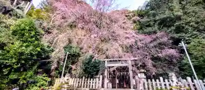 大豊神社の{uncategorized: "未分類", other: "その他", undefined: "問題あり", building: "その他建物", grave: "お墓", sacred_gate: "鳥居", guardian: "狛犬", statue: "像", buddha: "仏像", history: "歴史", nature: "自然", garden: "庭園", animal: "動物", pagoda: "塔", temizu: "手水舎", mountain_gate: "山門・神門", sanctuary: "本殿・本堂", subordinate: "末社・摂社", art: "芸術", scenery: "景色", jizo: "地蔵", ema: "絵馬", goshuin: "御朱印", omikuji: "おみくじ", items: "授与品その他", amulet: "お守り", goshuincho: "御朱印帳", eats: "食事", festival: "お祭り", votive_dance: "神楽", shichigosan: "七五三参", wedding: "結婚式", experience: "体験その他", initially: "初詣", around: "周辺", anti_infection: "感染症対策"}