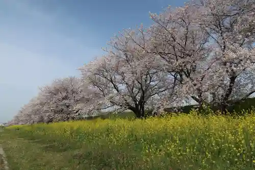 白鬚神社(岐阜県)