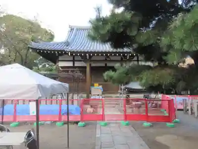 葛井寺(大阪府)