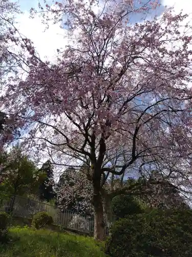 神明神社（村国）(福井県)