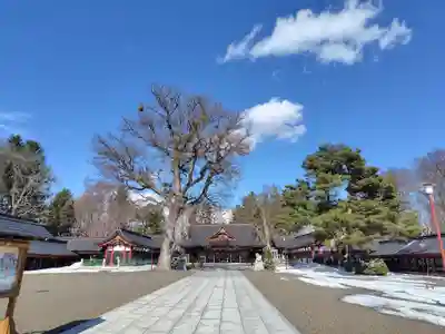北海道護國神社(北海道)