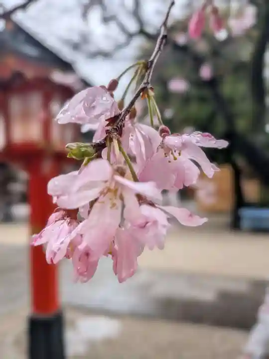 馬橋稲荷神社(東京都)