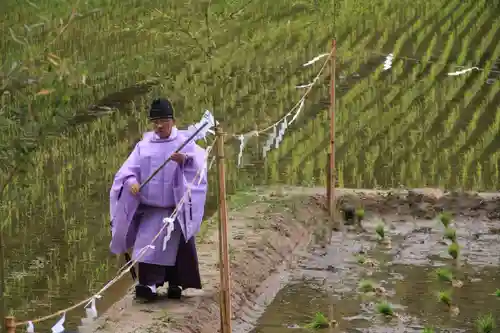 高屋敷稲荷神社のお祭り