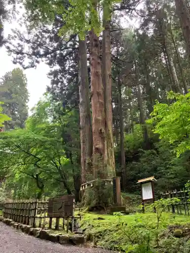 御岩神社(茨城県)