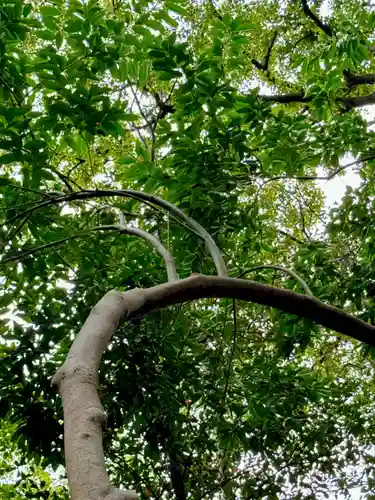 和泉國一之宮　大鳥大社(大阪府)