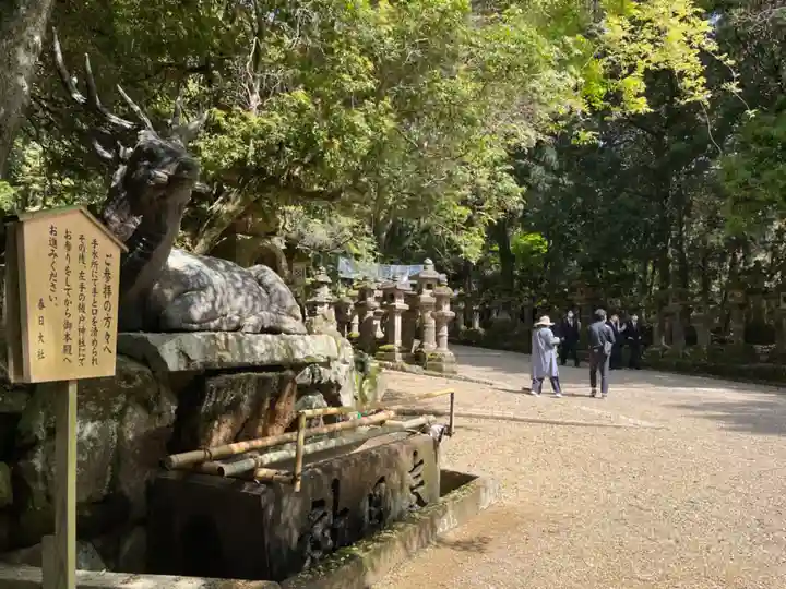 春日大社の手水舎