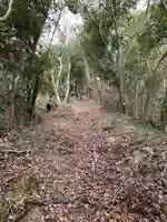 石堂原八幡神社の自然