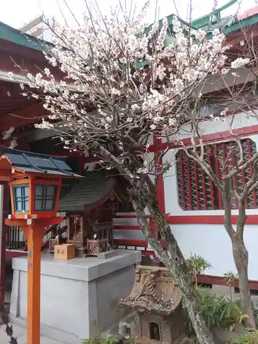 仙台大神宮の景色