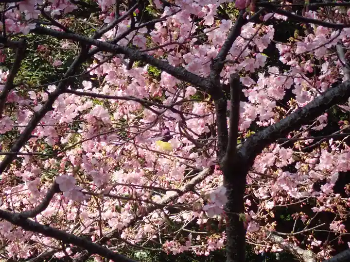 吾妻神社(神奈川県)